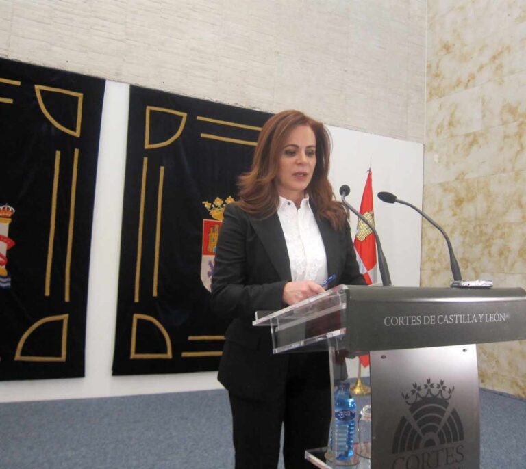 La presidenta de las Cortes de Castilla y León deja su cargo decepcionada con PP