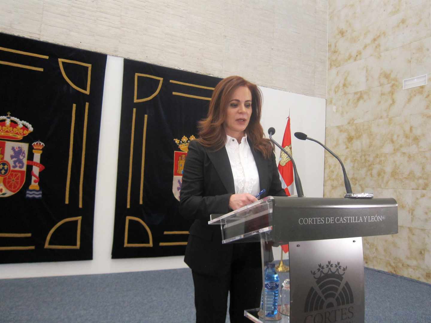 La presidenta de las Cortes de Castilla y León deja su cargo decepcionada con PP