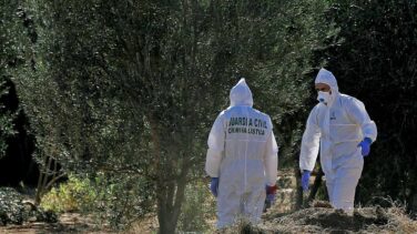 La Guardia Civil encuentra la supuesta arma homicida del crimen de los niños de Godella