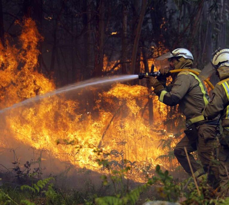 Crean una herramienta que identifica los lugares con mayor riesgo de incendios