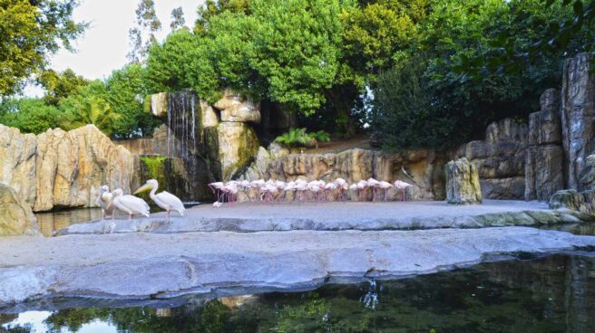 Bioparc de Valencia