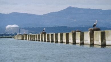 Las claves para alargar la vida útil de la central nuclear de Almaraz hasta 2030