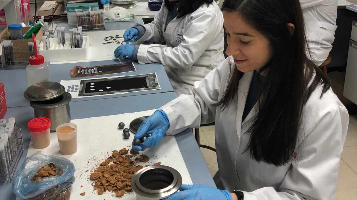 El experimento con almendras ha funcionado en el laboratorio y ahora es el momento de llevarlo a prototipos.