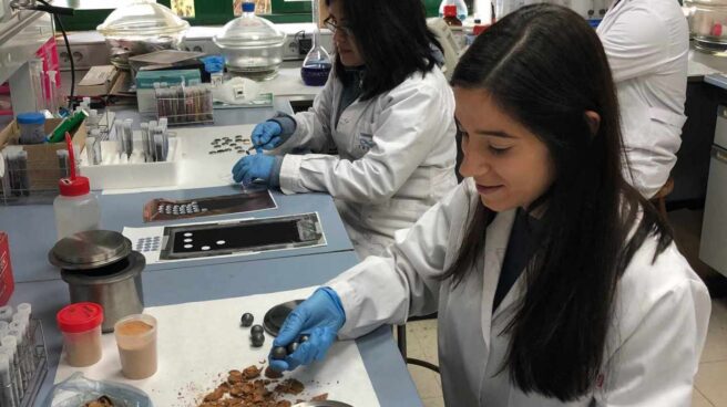 El experimento con almendras ha funcionado en el laboratorio y ahora es el momento de llevarlo a prototipos.