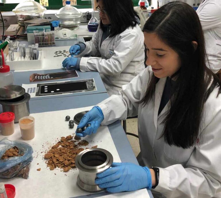 ¿Y si la batería de tu coche fuera de cáscara de almendra?