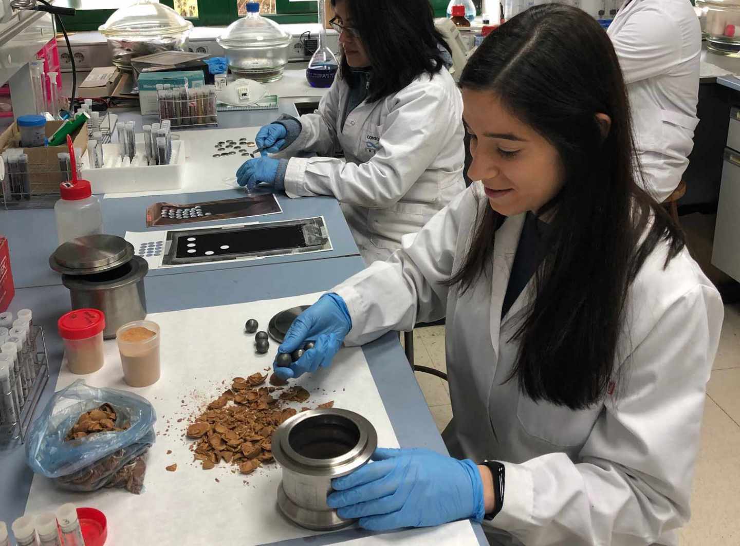 El experimento con almendras ha funcionado en el laboratorio y ahora es el momento de llevarlo a prototipos.