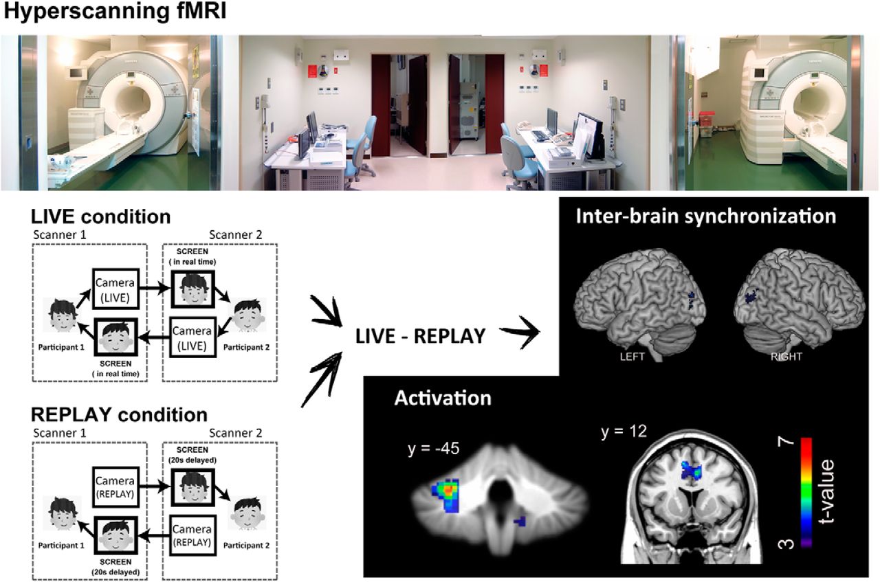 Desarrollo del experimento de visualización neuronal ante los cara a cara de sujetos experimentales