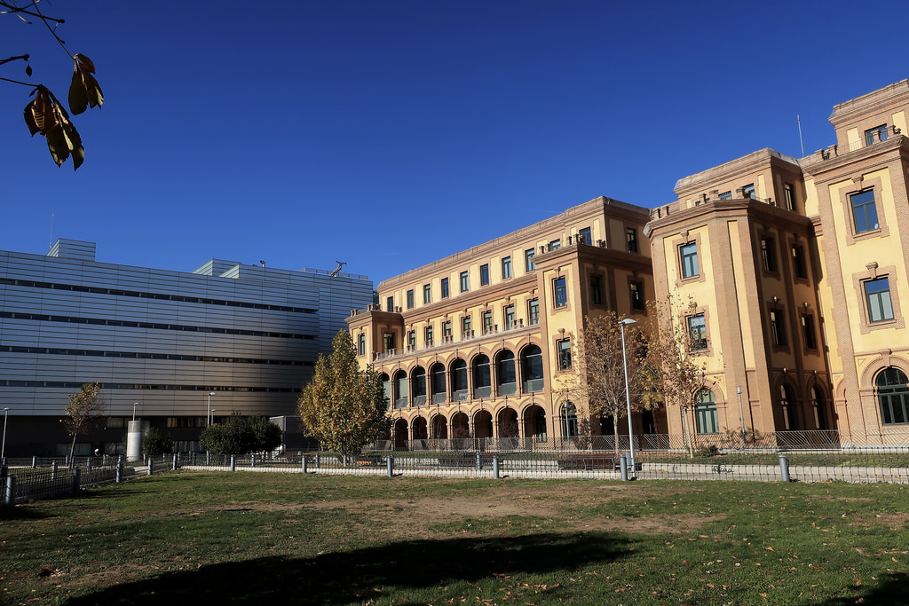 Consejería de Políticas Sociales y Familia de la Comunidad de Madrid.