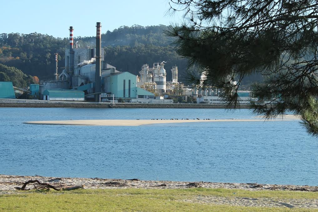 Fábrica de Ence en Pontevedra.