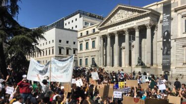 Carta de abierta de Fridays For Future a la próxima ministra de Medio Ambiente