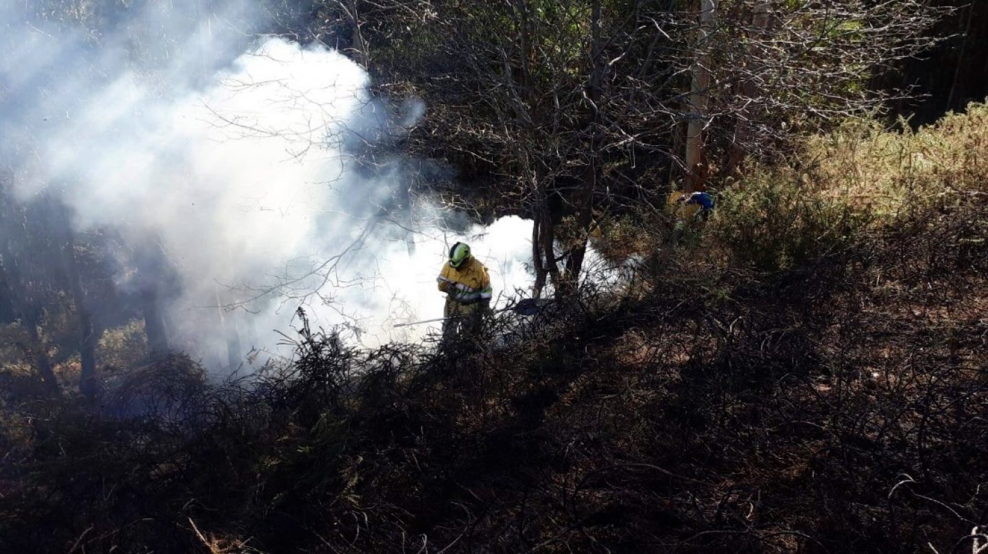 Extinción de un incendio por miembros del operativo de Medio Natural.