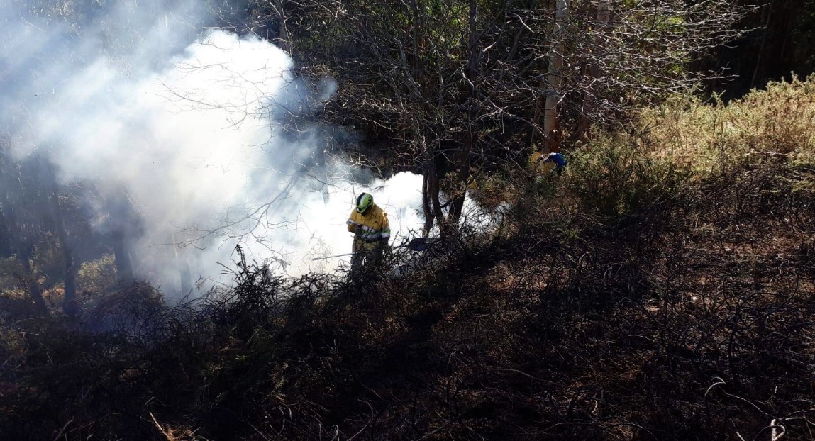 Extinción de un incendio por miembros del operativo de Medio Natural.