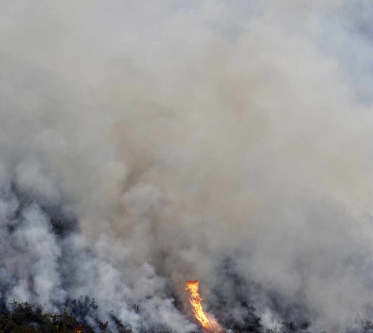 El viento amenaza con agravar los fuegos provocados que queman Asturias y Cantabria
