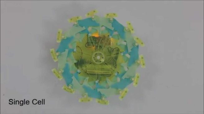 Célula robótica Célula robótica