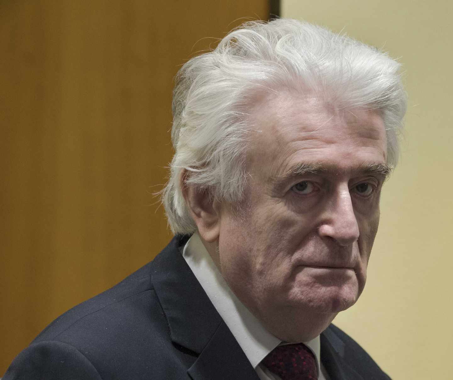 Radovan Karadzic, durante la lectura de su veredicto en La Haya, este miércoles 20 de marzo de 2019.