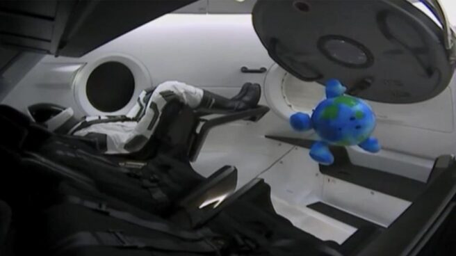 El dummy Ripley, en la cápsula Dragon, junto a su mascota El dummy Ripley, en la cápsula Dragon, junto a su mascota