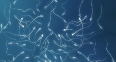 Los efectos del COVID-19 podrían provocar la disminución en la calidad del semen a largo plazo