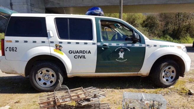 Localizan 28 caballos desnutridos y abandonados en una explotación ganadera en Sevilla