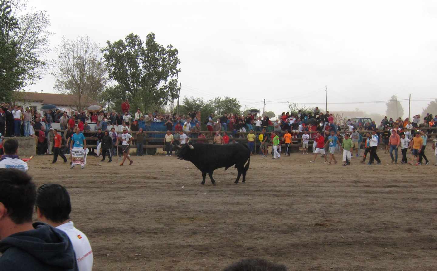 El TS cierra a Tordesillas la última vía para defender al Toro de la Vega