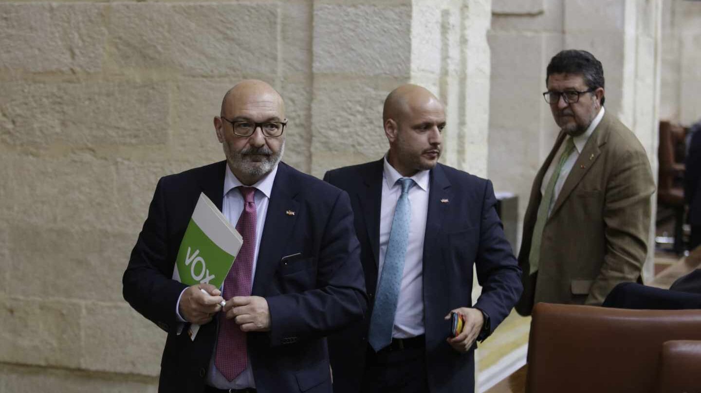 Los diputados de Vox en el Parlamento andaluz.