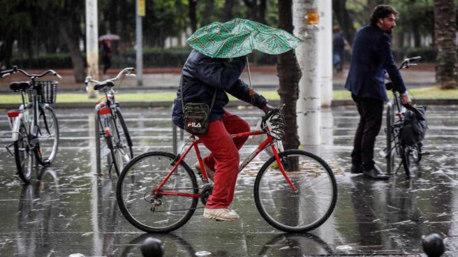 Una persona circula en bicicleta mientras intenta resguardarse de la lluvia con un paraguas, en el centro de Sevilla. Una persona circula en bicicleta mientras intenta resguardarse de la lluvia con un paraguas, en el centro de Sevilla.