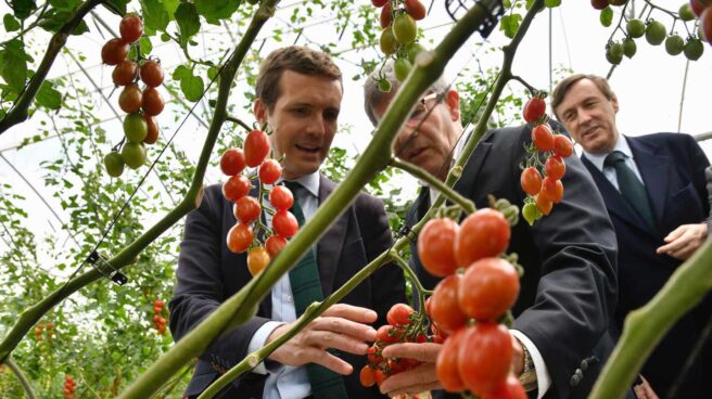 Pablo Casado hizo este martes campaña en Almería