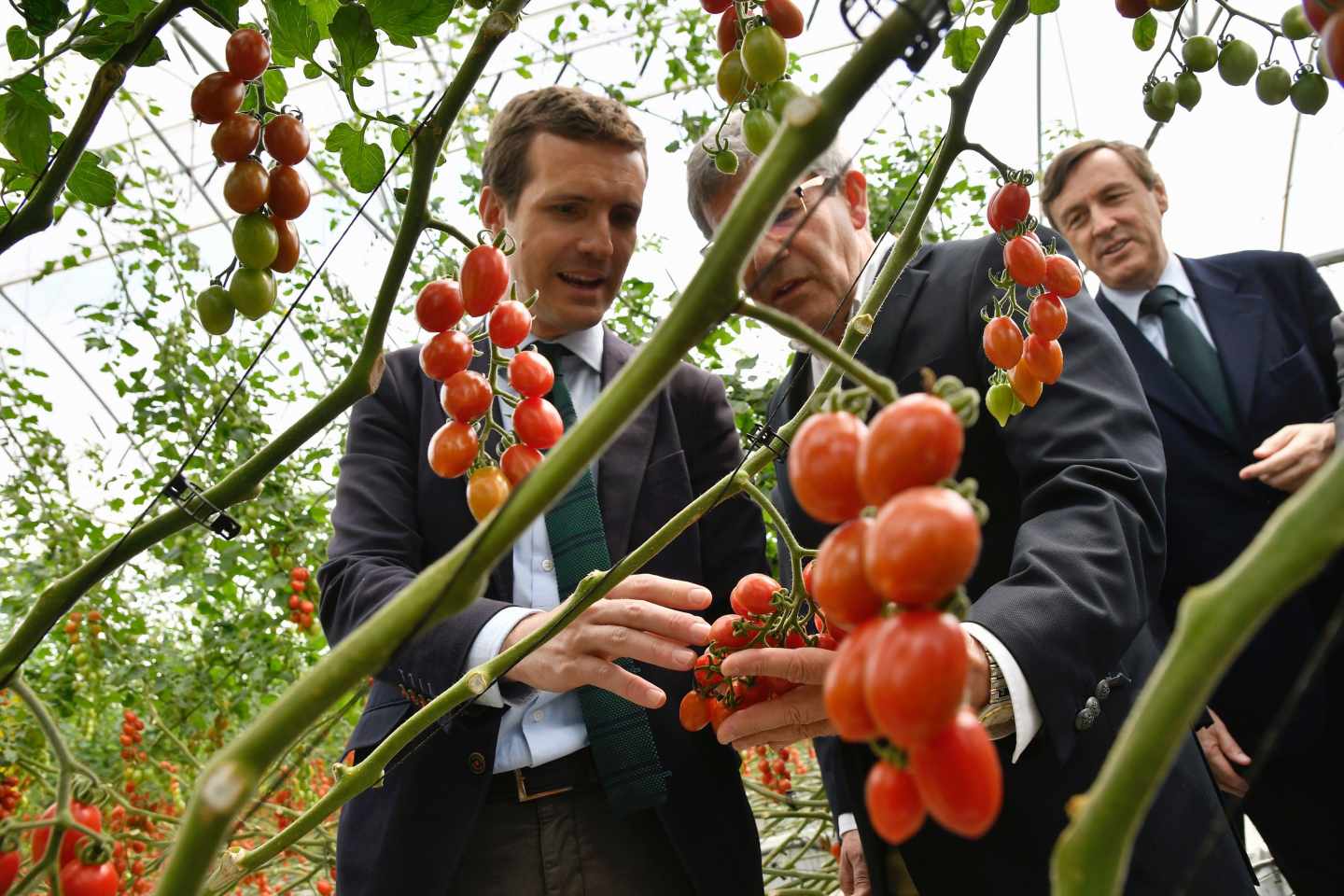 Pablo Casado hizo este martes campaña en Almería