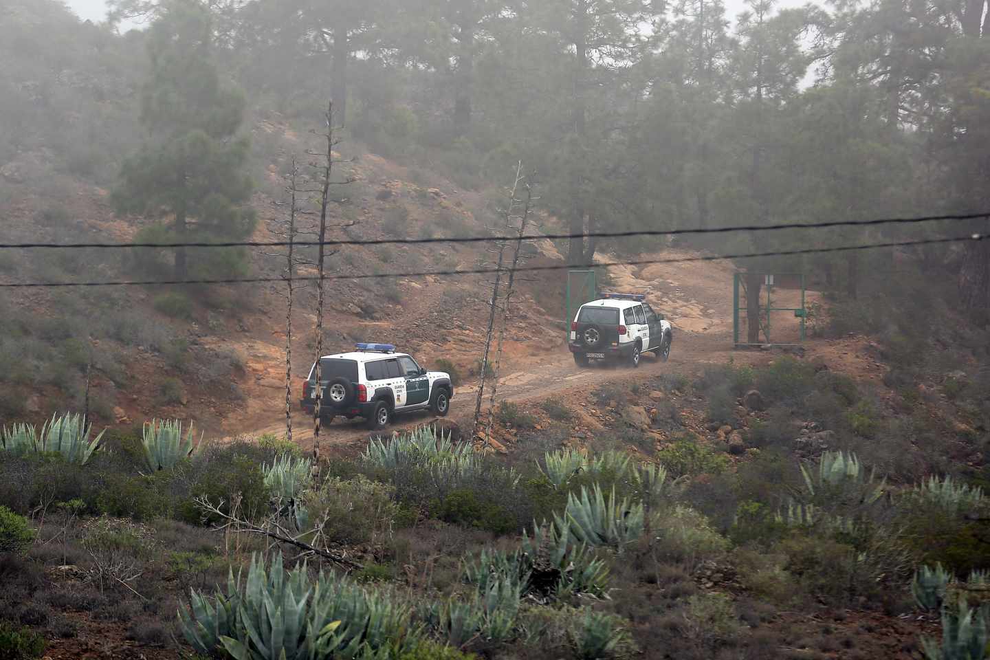 Guardia Civil en el municipio de Adeje durante el miércoles.