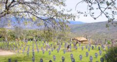 Profanadas varias tumbas del cementerio militar alemán de Cuacos de Yuste