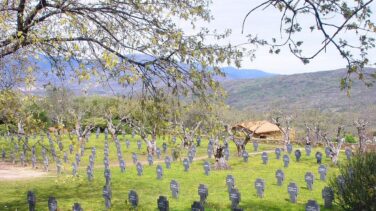 Profanadas varias tumbas del cementerio militar alemán de Cuacos de Yuste