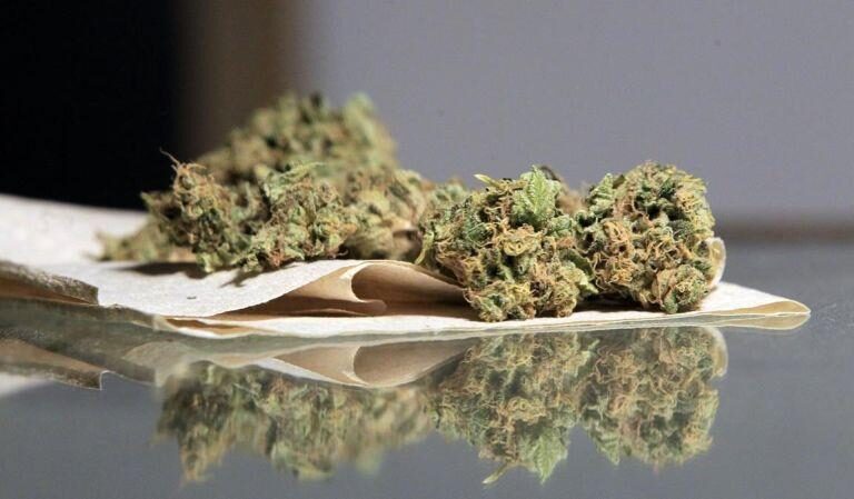 La marihuana entra en campaña