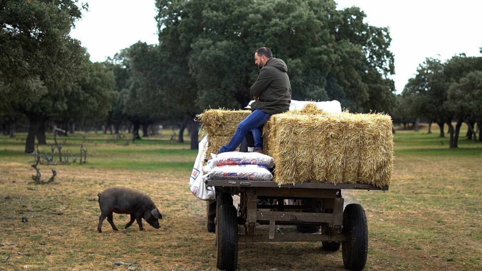 Morante y Abascal en el campo