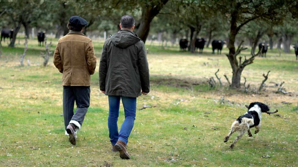 Morante de la Puebla y Santiago Abascal contemplan los toros