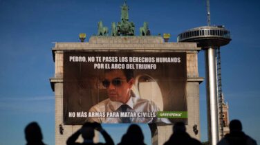 El programa del PSOE es más verde que el de Podemos, según Greenpeace