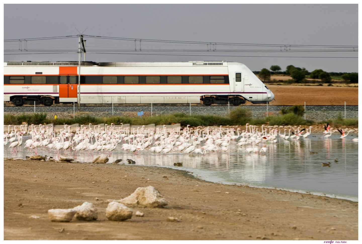 Tren en Ciudad Real.