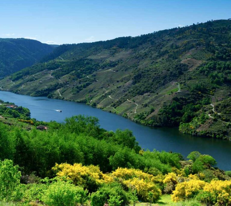 De turismo por la Ribeira Sacra, una apuesta segura