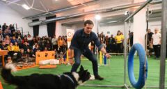 Iglesias y Rivera llevan a perros a sus actos para disputar el voto animalista de PACMA