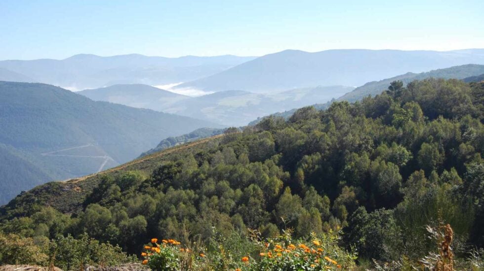 Ruta Mazo de Mon, San Martín de los Oscos