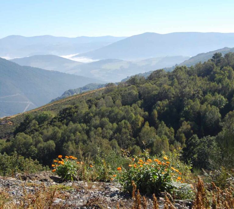 Los Oscos, un tesoro escondido en el occidente asturiano