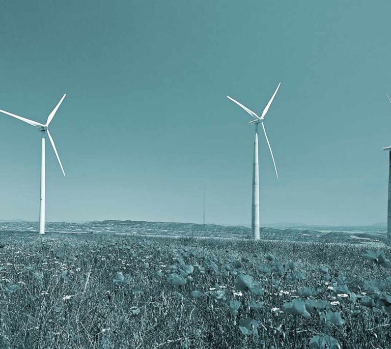 Acciona y la búsqueda de la vida eterna