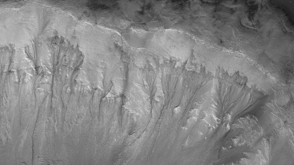 Surcos en el cráter Palikir vinculados a agua brotando del subsuelo de Marte