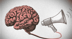 El traductor de cerebros: consiguen 'oír' frases en la actividad neurológica
