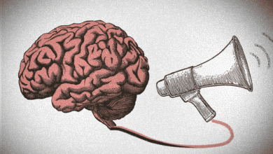 El traductor de cerebros: consiguen 'oír' frases en la actividad neurológica
