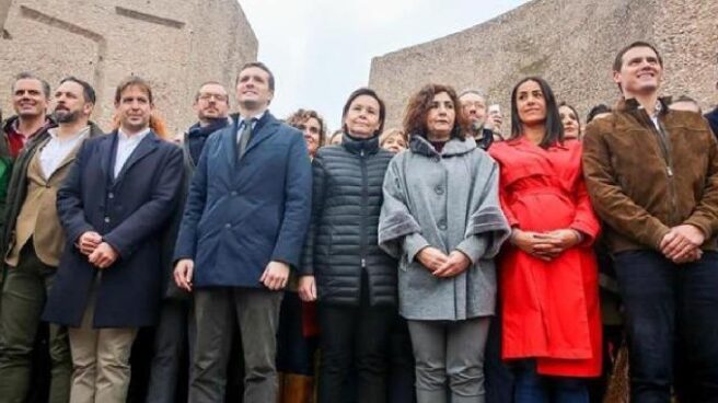 Santiago Abascal, Pablo Casado y Albert Rivera en la manifestación de Colón