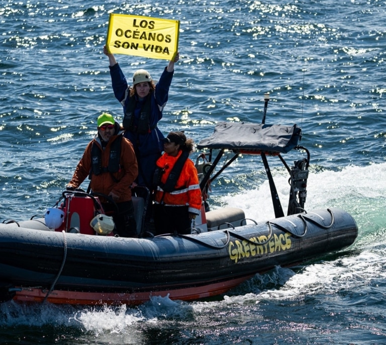 Convertir el 30% de los océanos en santuarios salvaría toda la vida marina