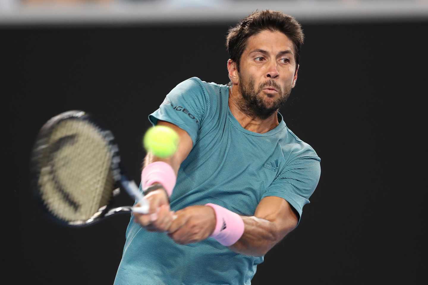 El tenista Fernando Verdasco.