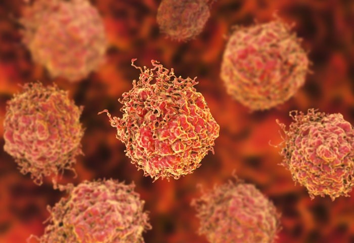 Científicos españoles prueban con éxito un fármaco contra el cáncer de próstata