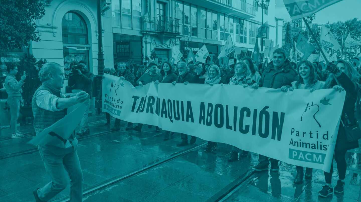 Un ciudadano a favor de la tauromaquia durante la Manifestación Antitaurina convocada por el Partido Animalista en Sevilla.