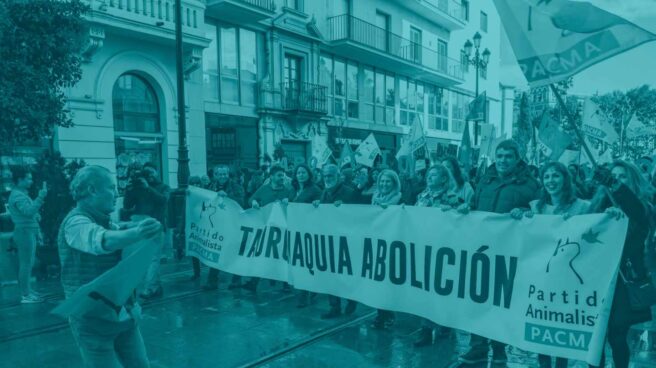 Un ciudadano a favor de la tauromaquia durante la Manifestación Antitaurina convocada por el Partido Animalista en Sevilla.