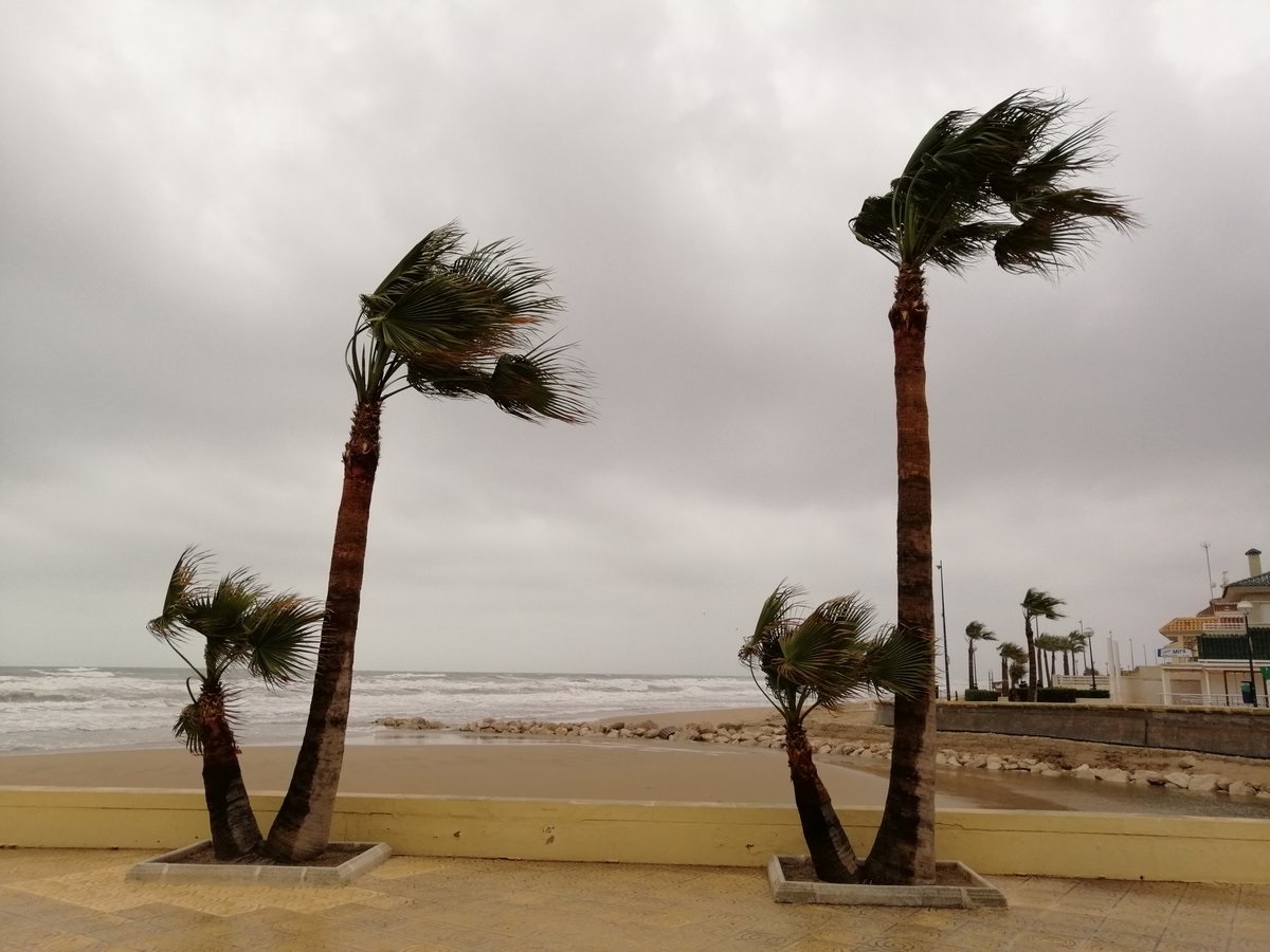 Imágenes temporal.